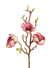 Short 3D Fig Magnolia Branch Spray Multicolor