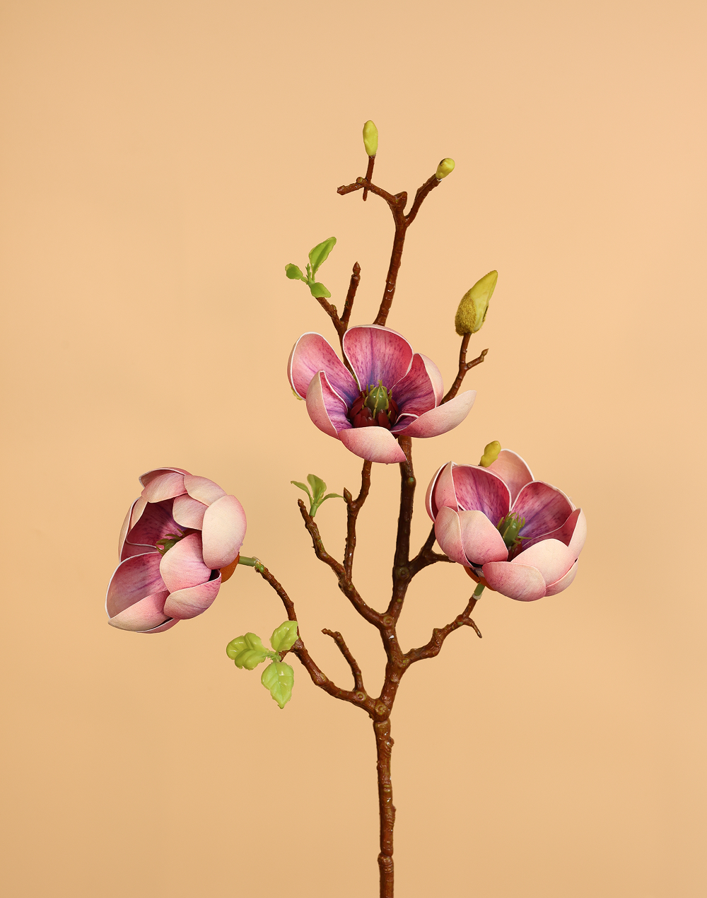 Short 3D Fig Magnolia Branch Spray Multicolor