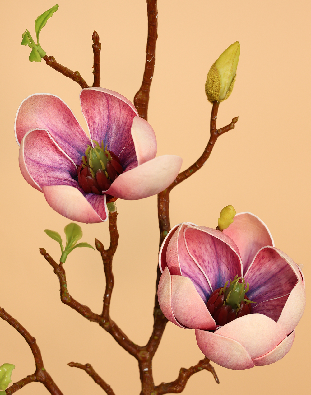 Short 3D Fig Magnolia Branch Spray Multicolor