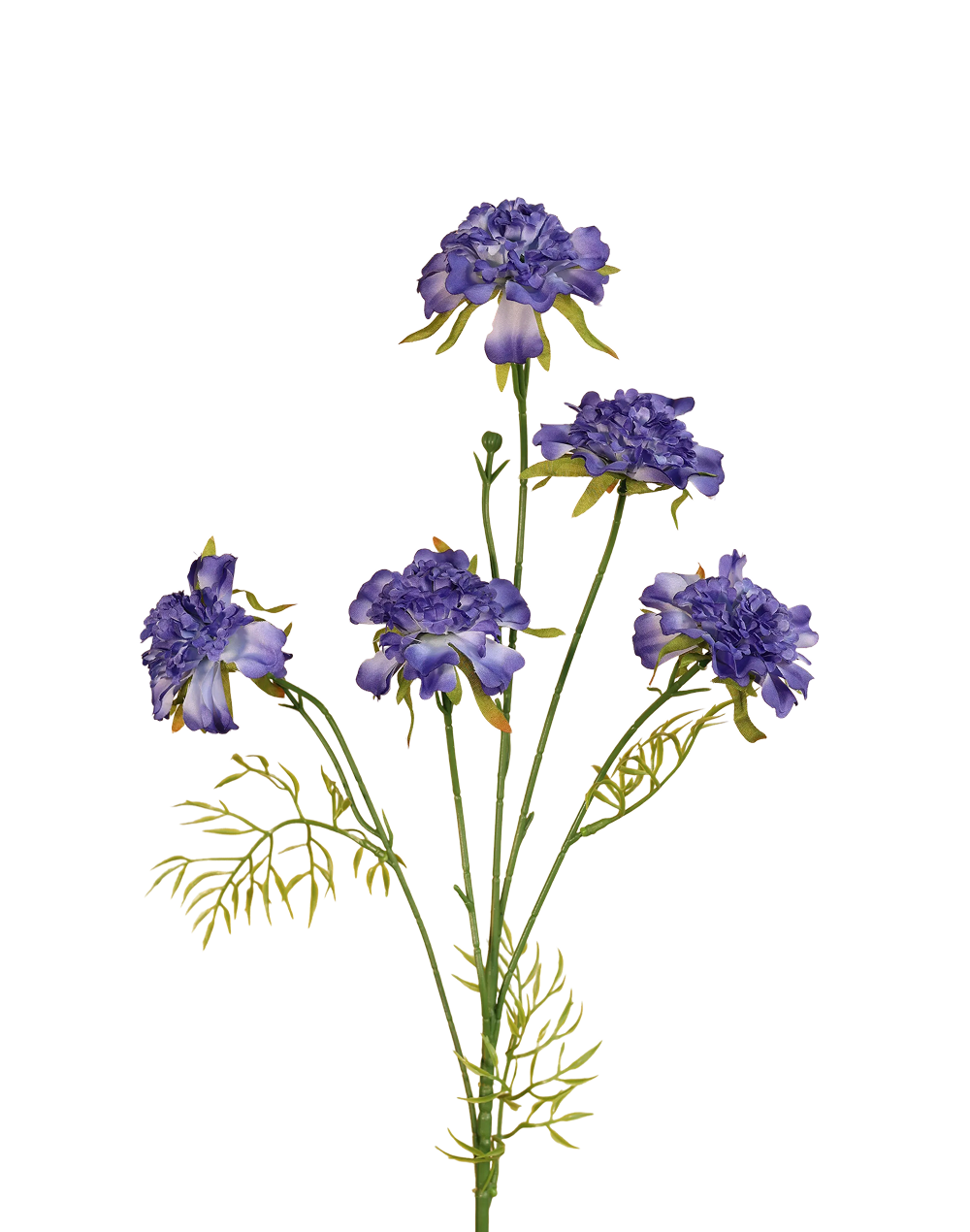 Garden Scabious Spray | Available in 3 Colors