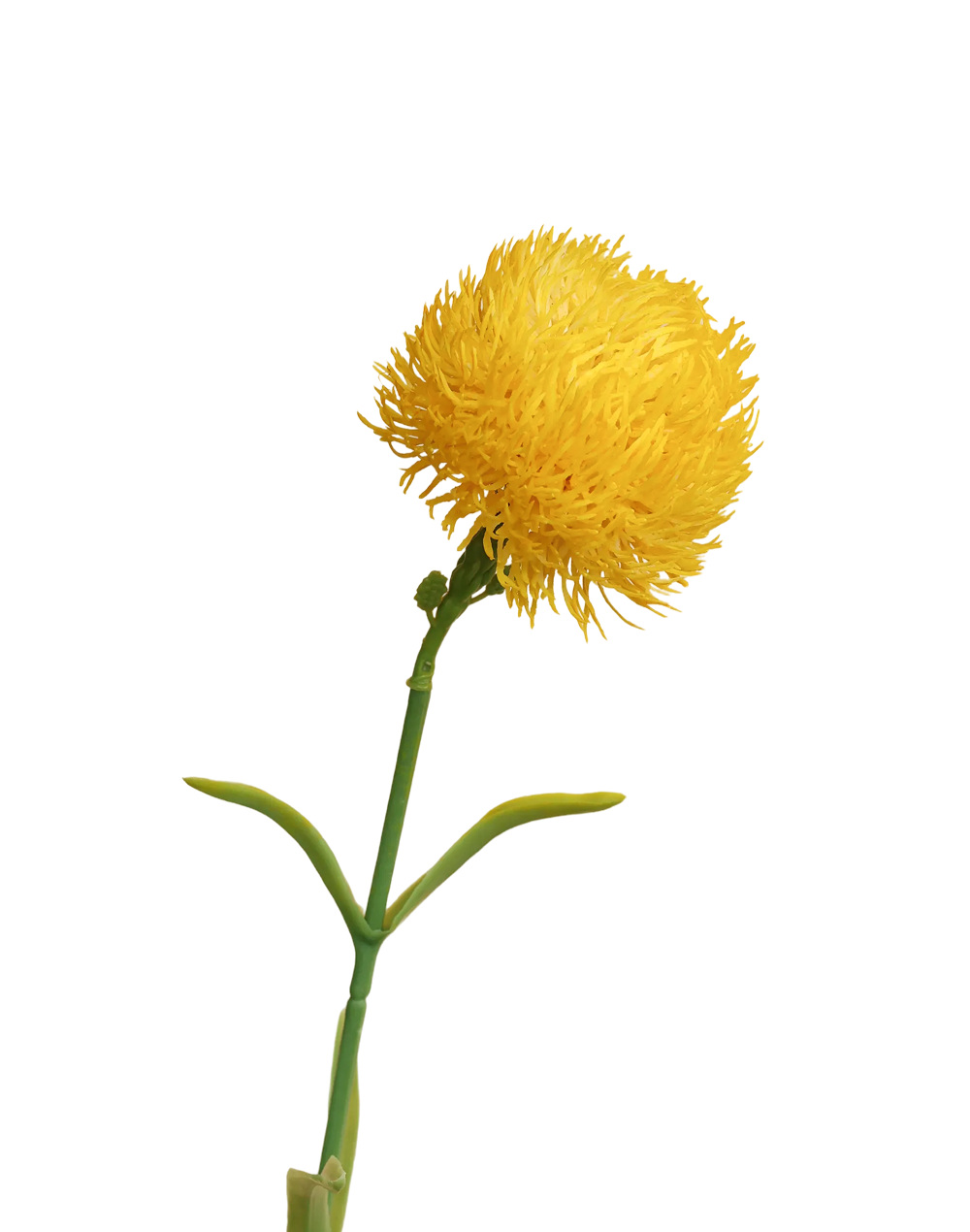 Pincushion Stem | Available in 4 Colors