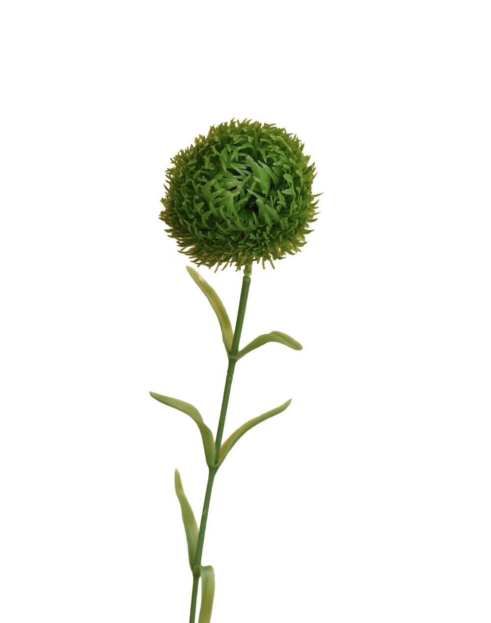 Pincushion Stem | Available in 4 Colors