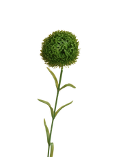 Pincushion Stem | Available in 4 Colors