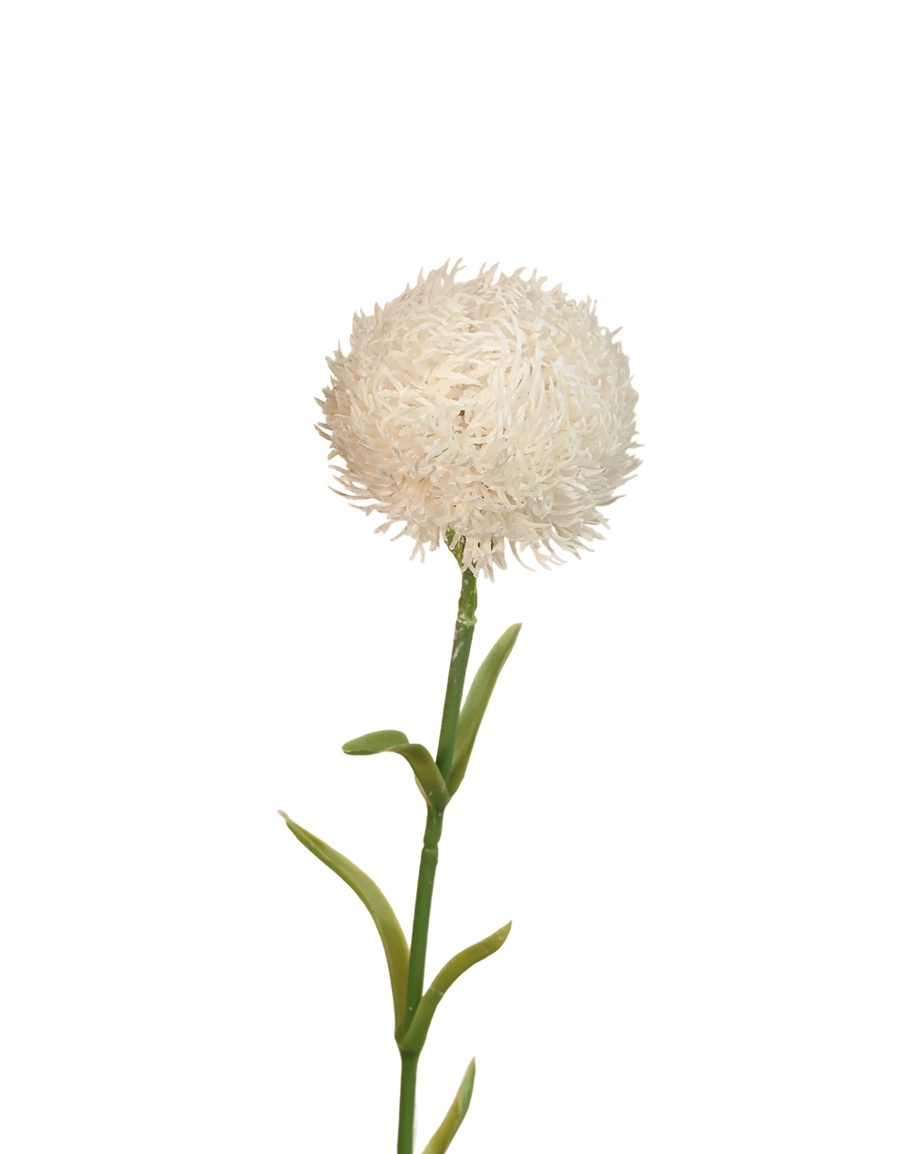 Pincushion Stem | Available in 4 Colors