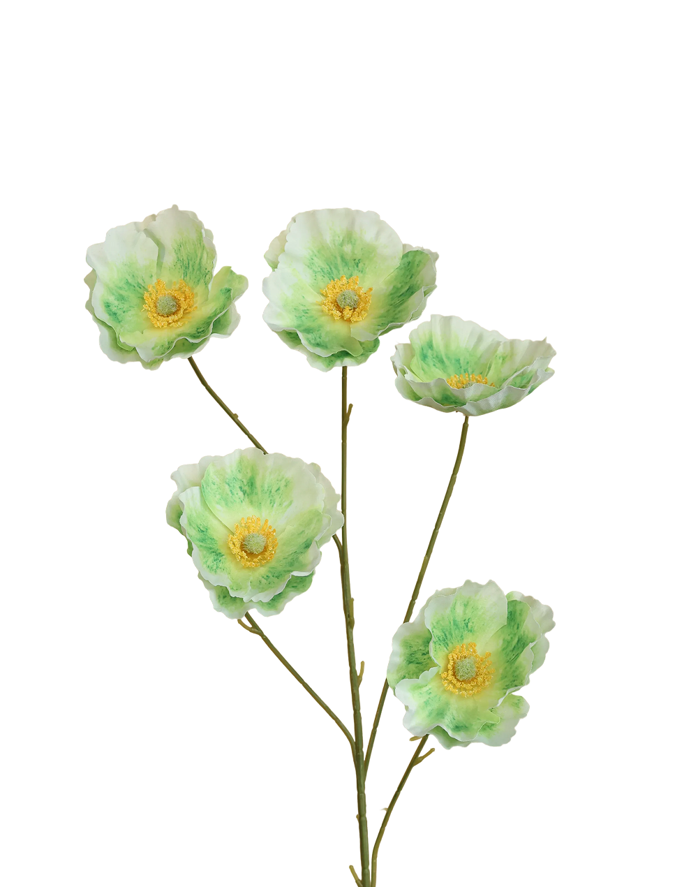Iceland Poppy 5-Head Spray | Available in 4 Colors