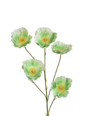 Iceland Poppy 5-Head Spray | Available in 4 Colors