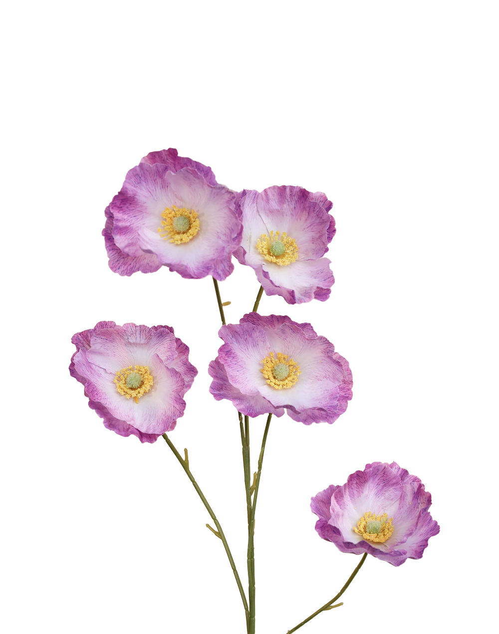 Iceland Poppy 5-Head Spray | Available in 4 Colors