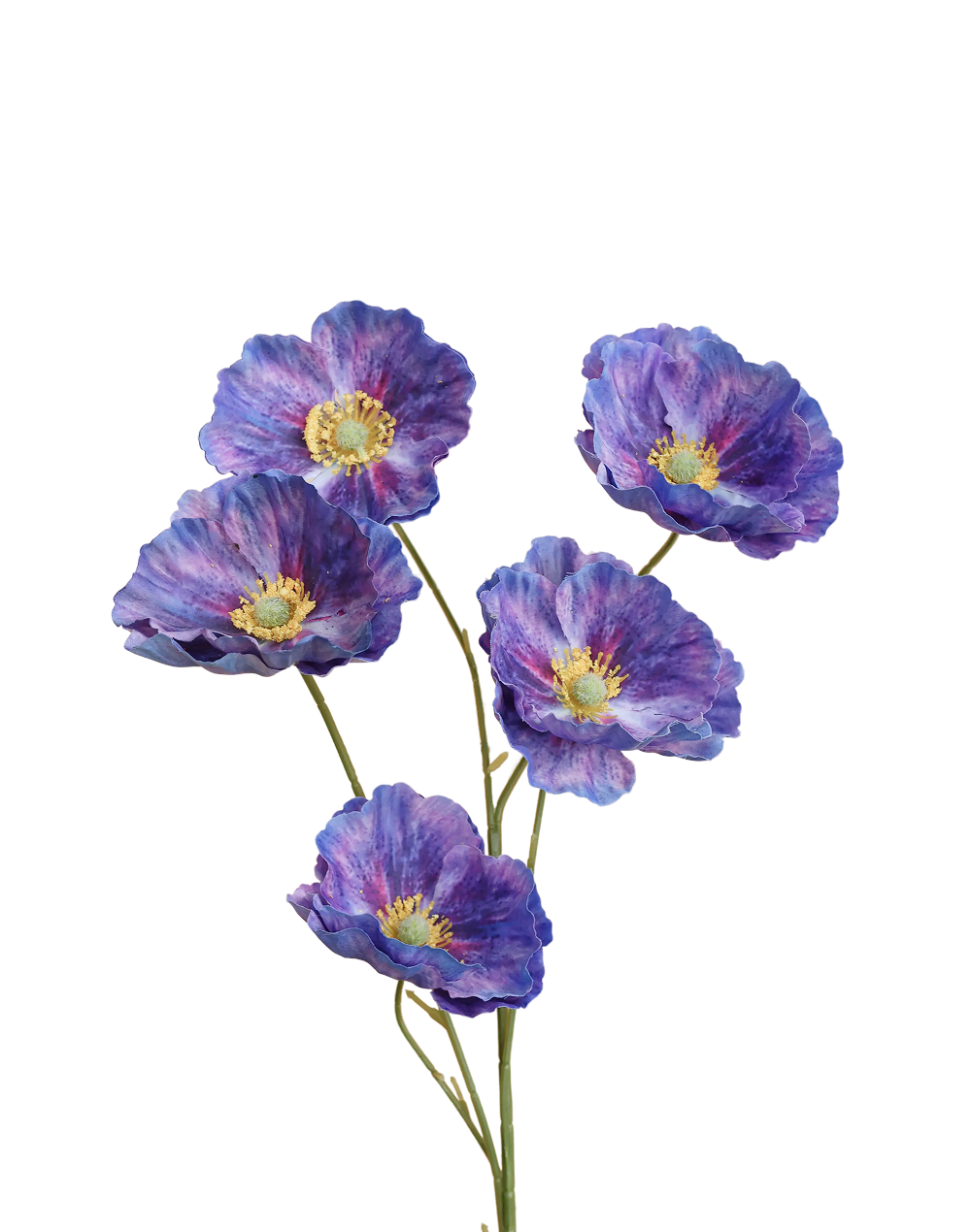 Iceland Poppy 5-Head Spray | Available in 4 Colors