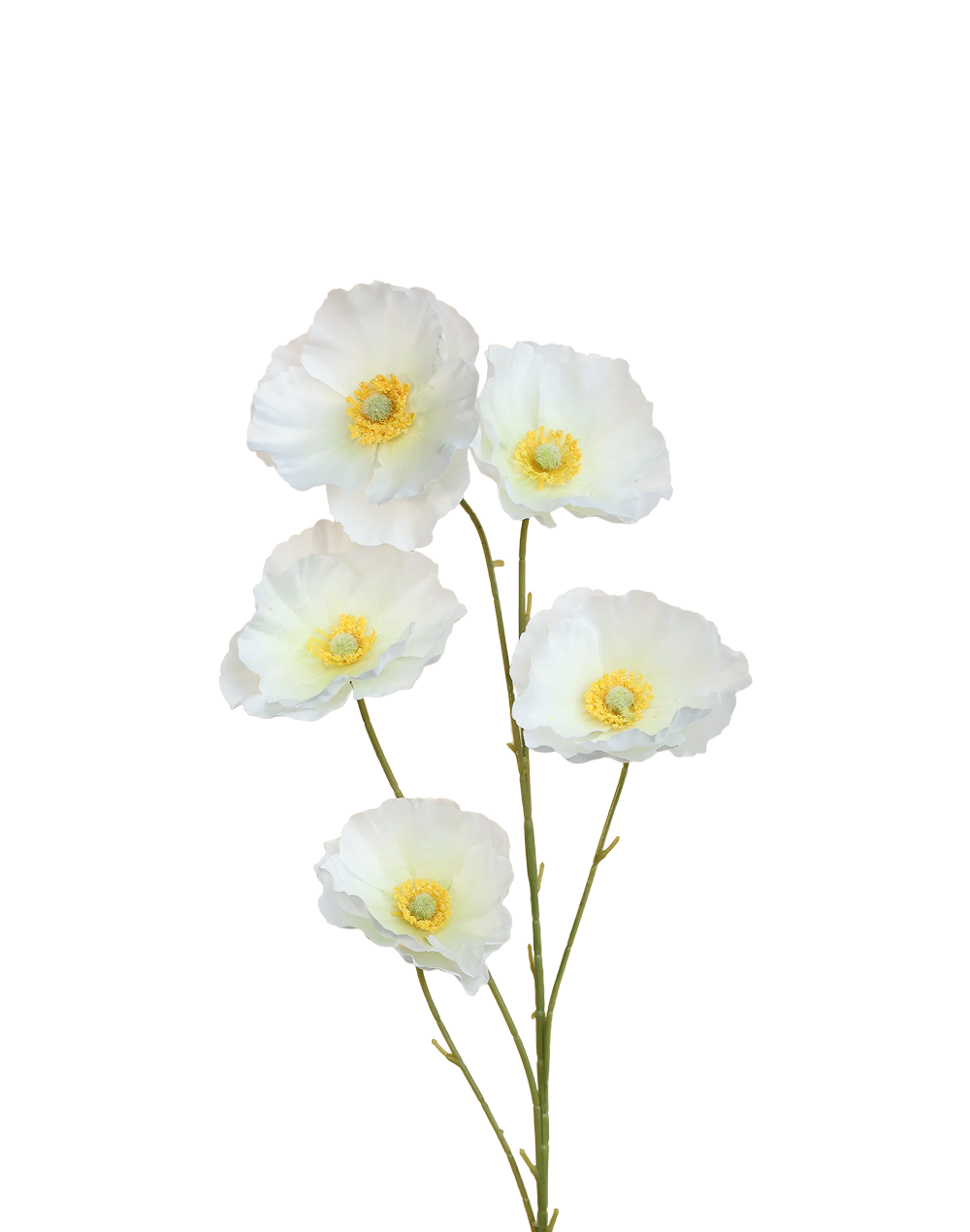 Iceland Poppy 5-Head Spray | Available in 4 Colors