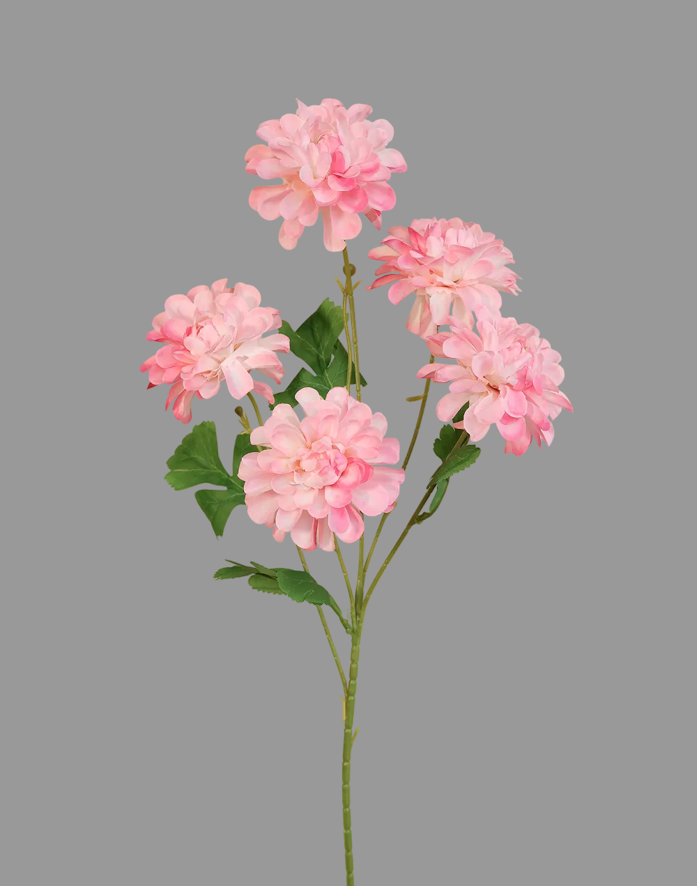 Petal Pink Silk Dahlia 5 Stem Spray