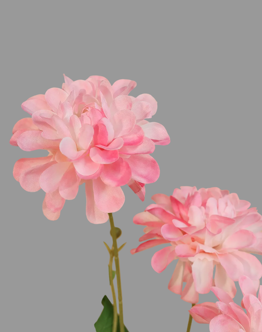 Petal Pink Silk Dahlia 5 Stem Spray