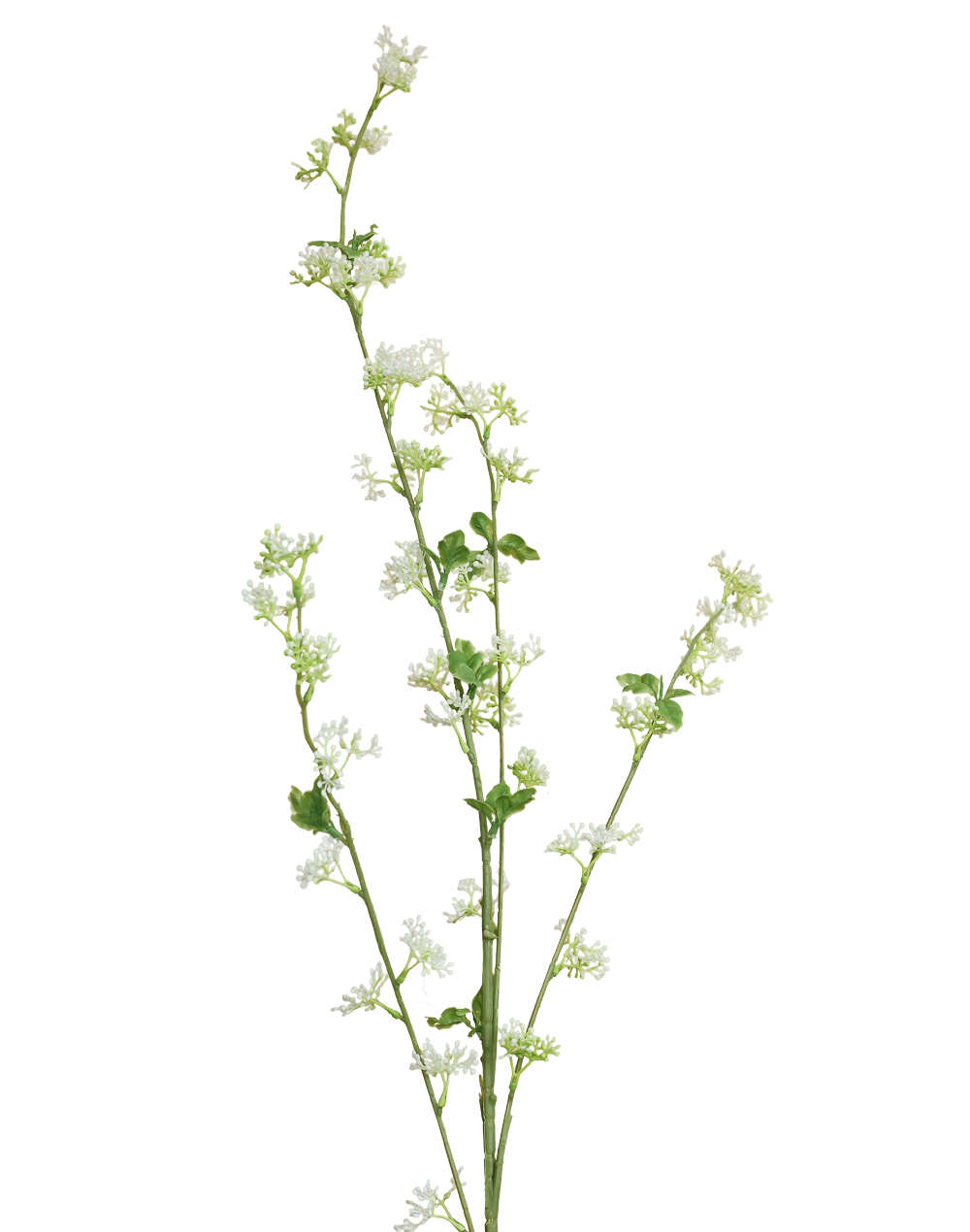 Sedum Spray | Available in 2 Colors