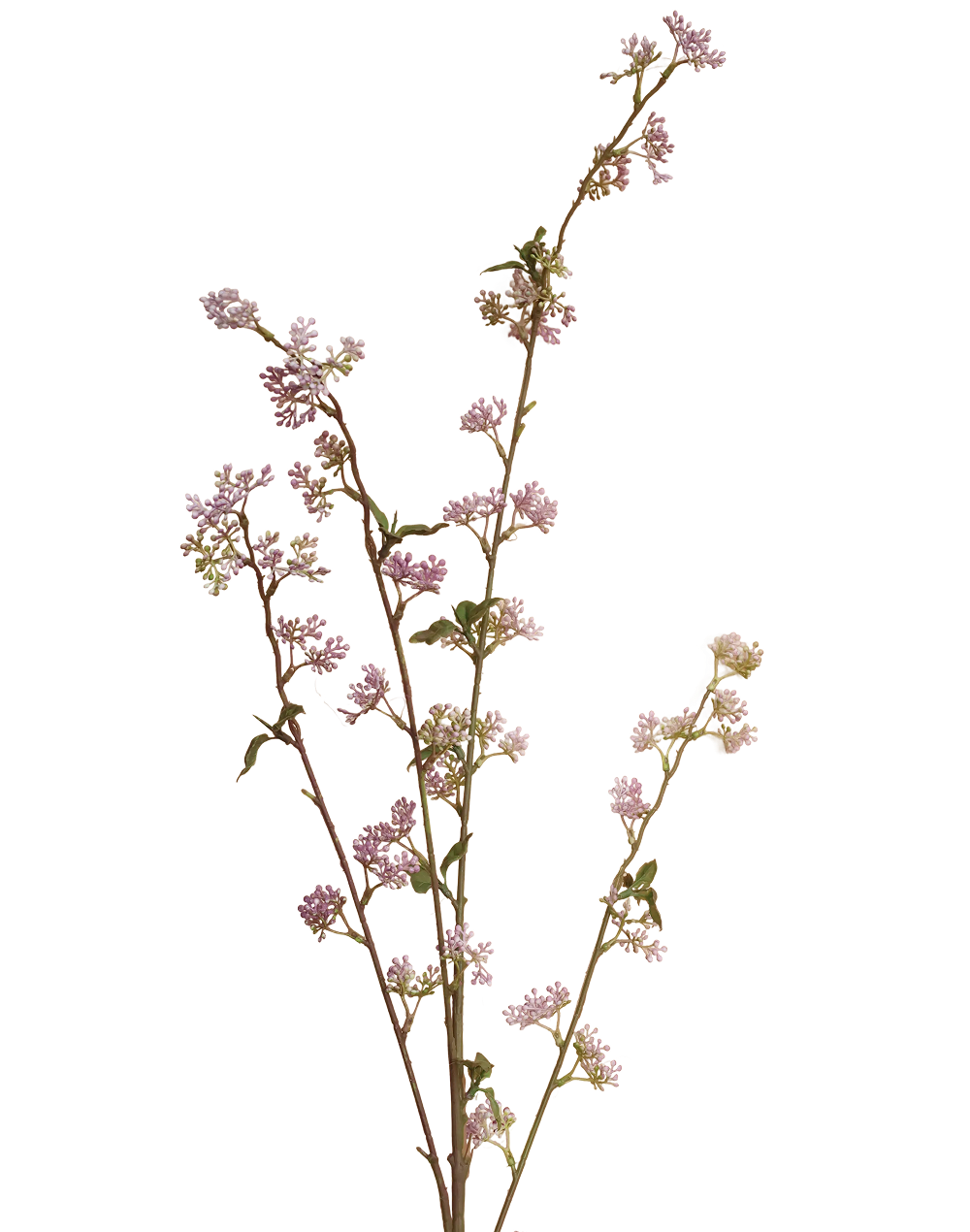 Sedum Spray | Available in 2 Colors