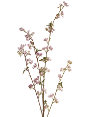 Sedum Spray | Available in 2 Colors
