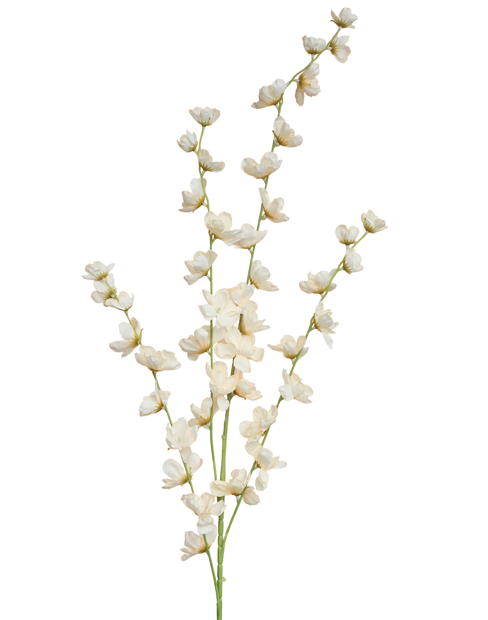 Blossom Spray | Available in 7 Colors