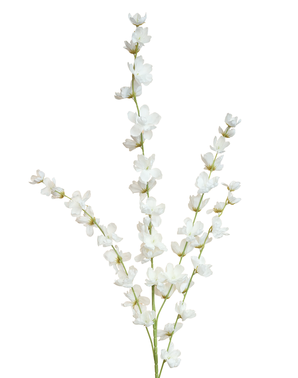 Blossom Spray | Available in 7 Colors