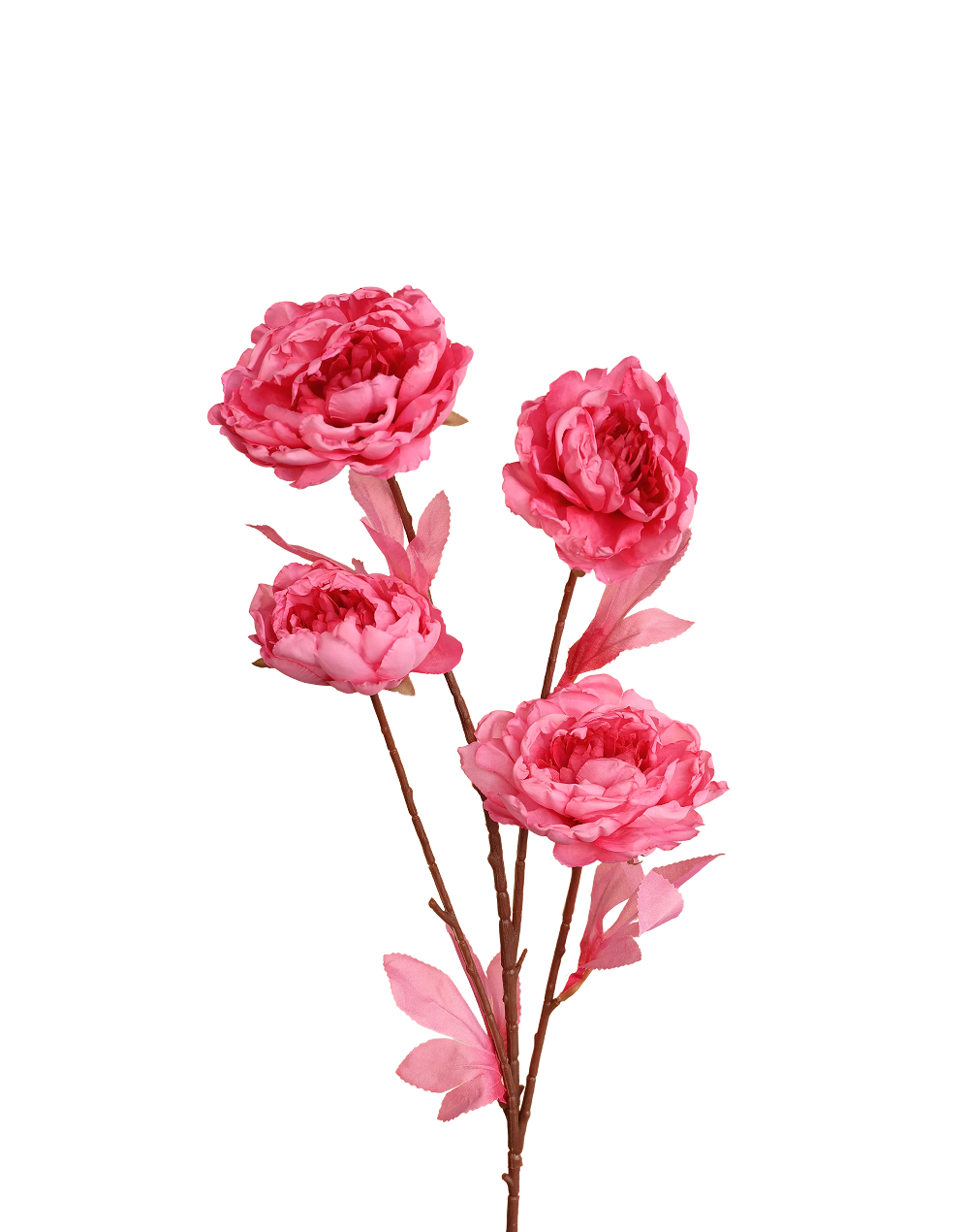 Peony Spray | Available in 2 Colors