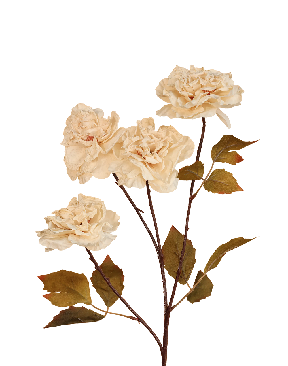 Dried Look Garden Rose | Available in 5 Colors