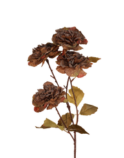Rustic Brown Dried Look Garden Rose Brown