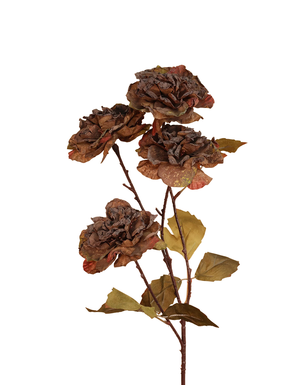 Rustic Brown Dried Look Garden Rose Brown