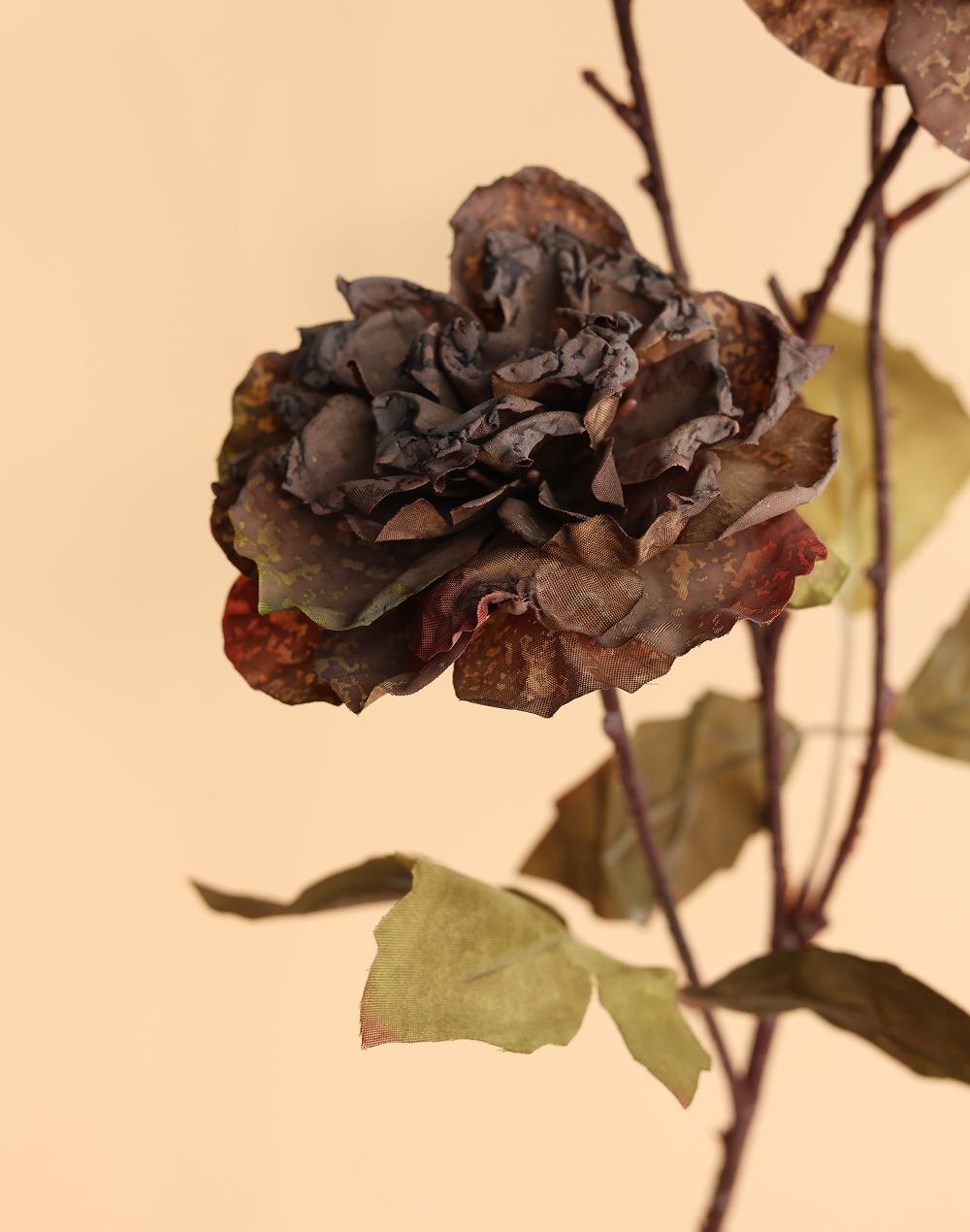 Rustic Brown Dried Look Garden Rose Brown
