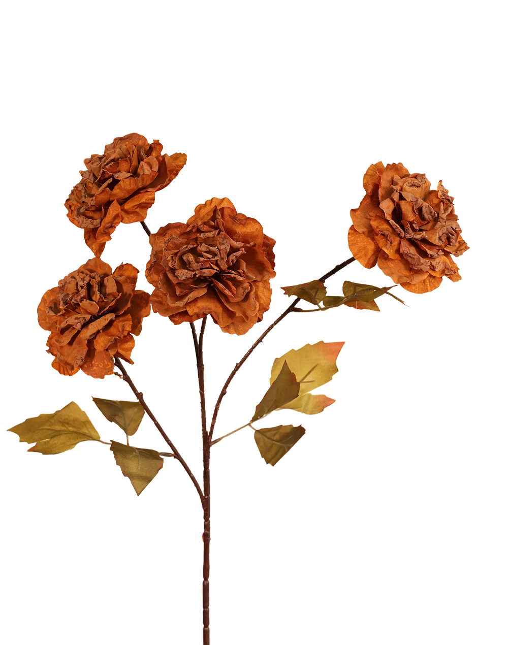 Dried Look Garden Rose | Available in 5 Colors