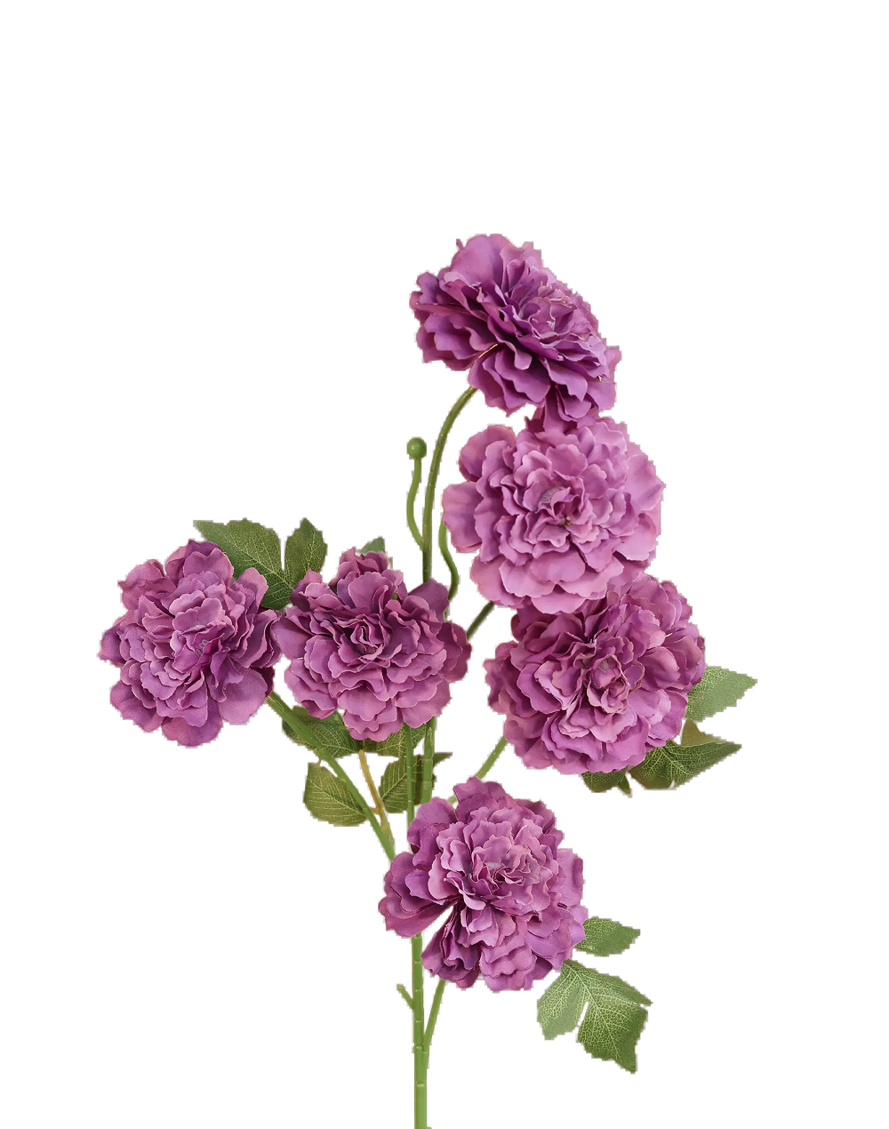 Violet Carnation Spray