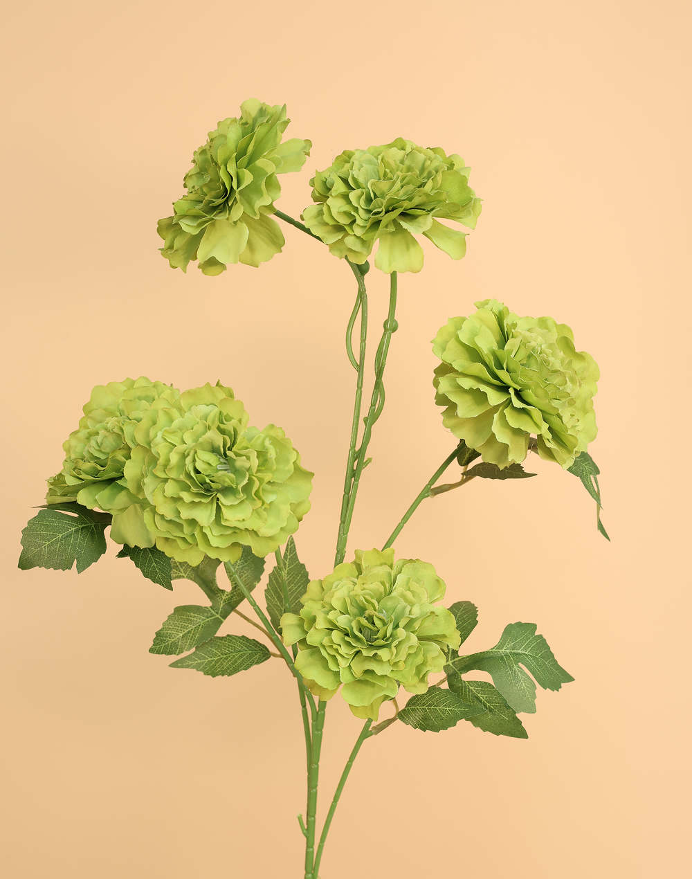 Green Carnation Spray Purple