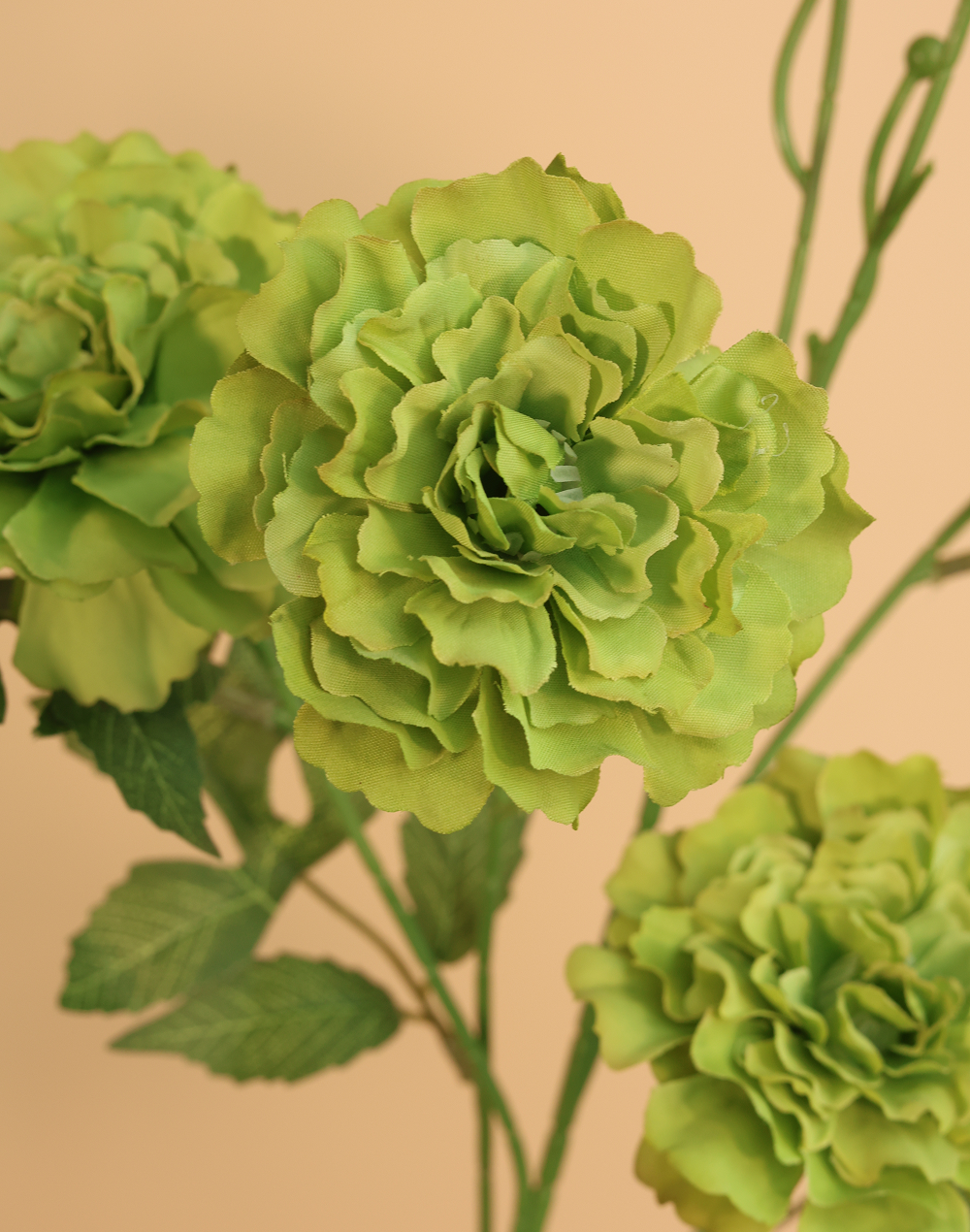 Green Carnation Spray Purple