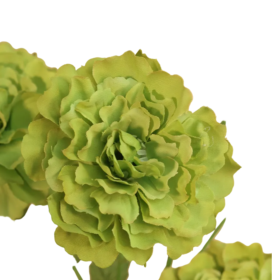 Green Carnation Spray Purple