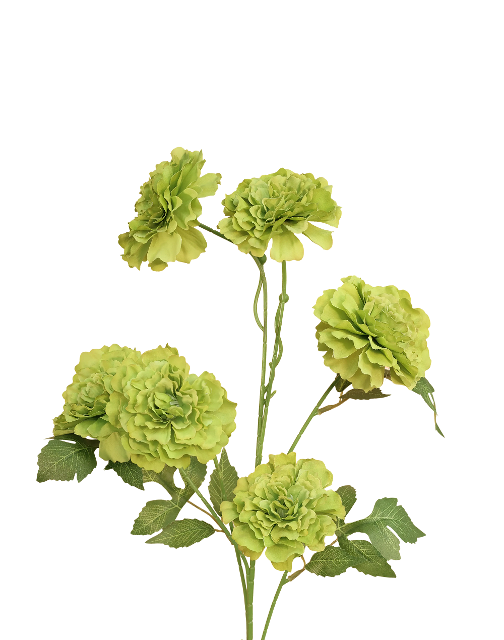 Green Carnation Spray Purple