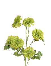 Green Carnation Spray Purple