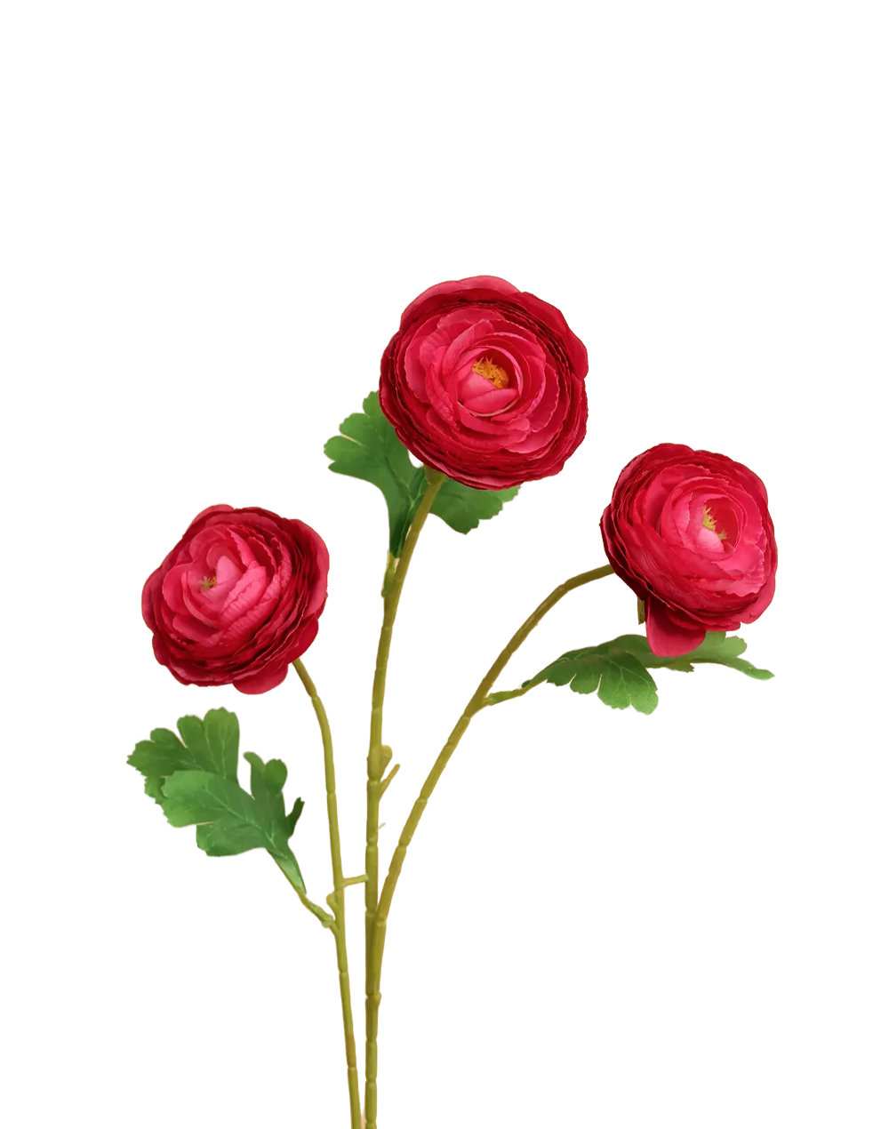 Ranunculus 3-Head Spray | Available in 6 Colors
