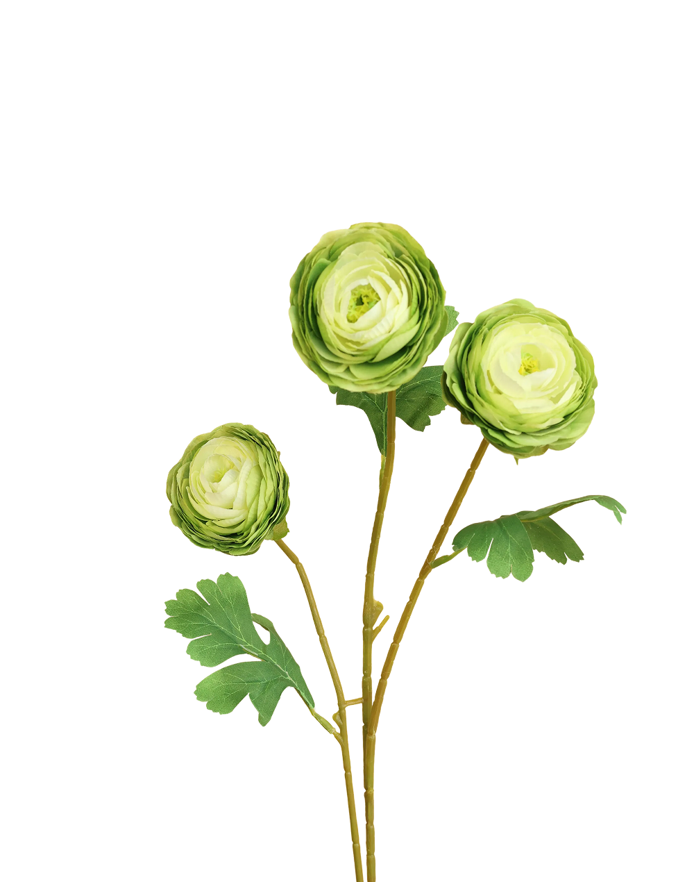 Ranunculus 3-Head Spray | Available in 6 Colors