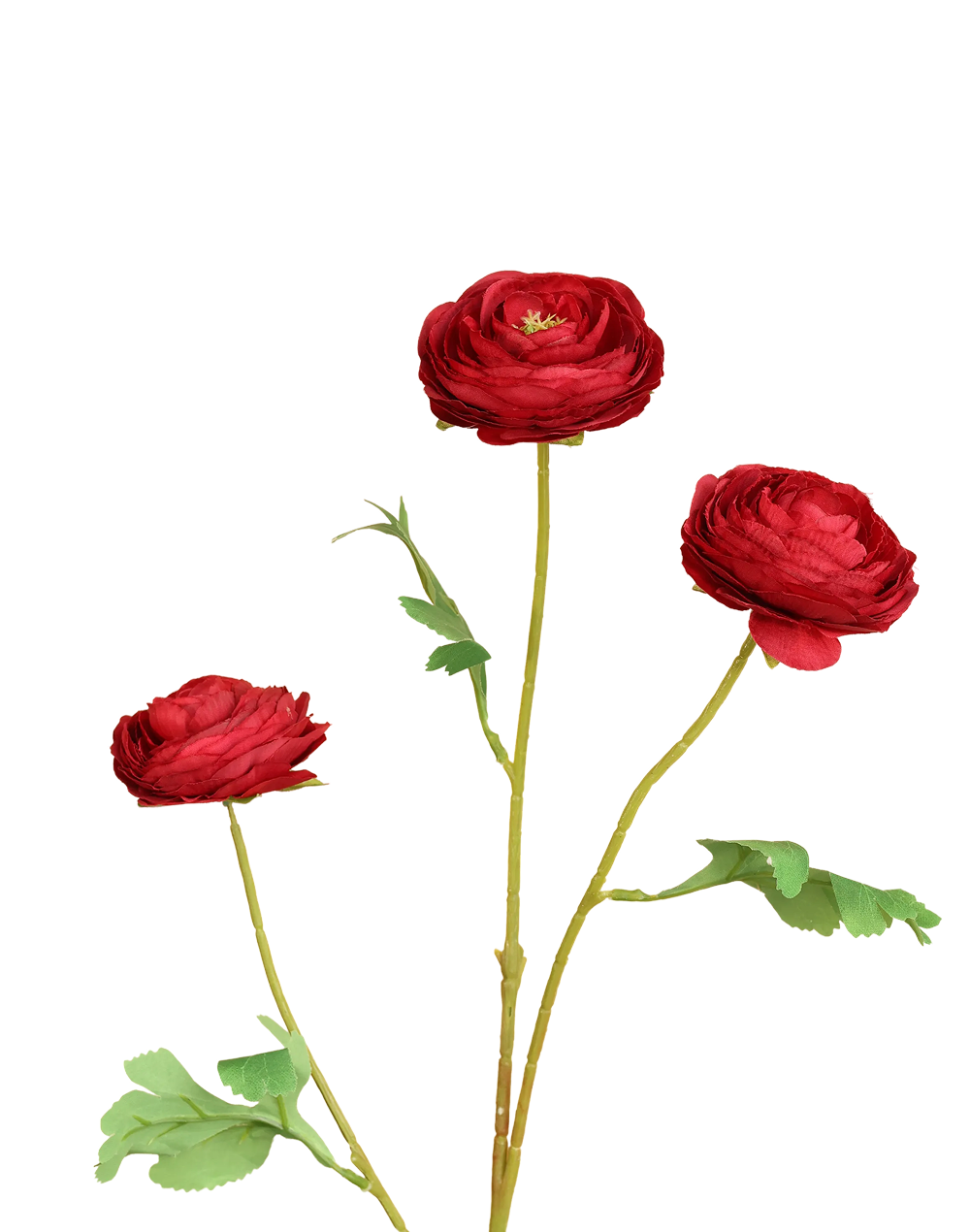 Ranunculus 3-Head Spray | Available in 6 Colors