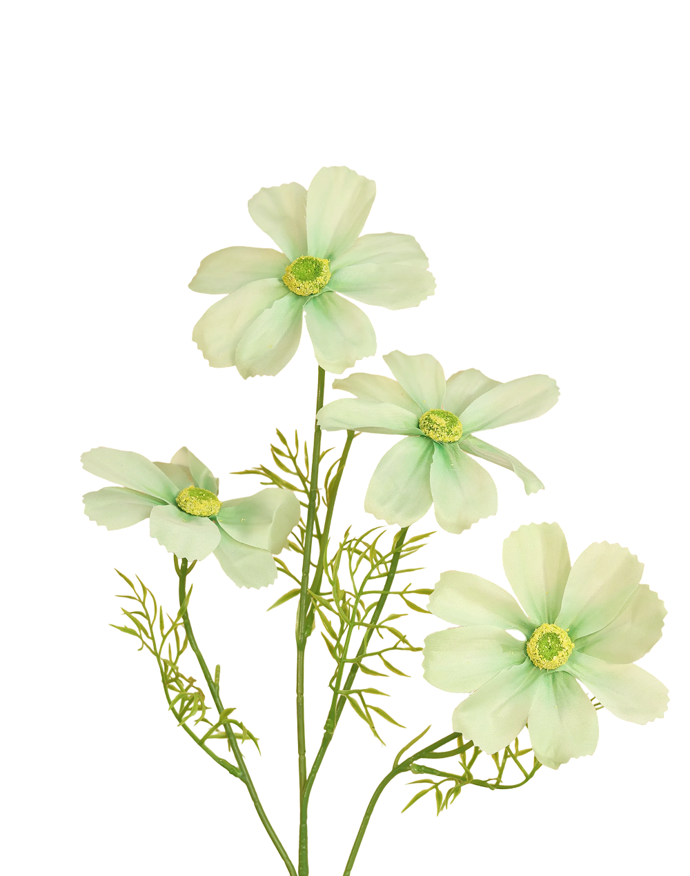 Jumbo Cosmos Spray | Available in 2 Colors