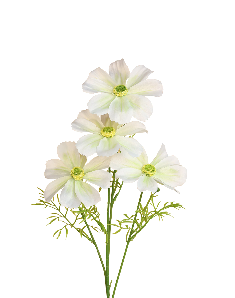 Jumbo Cosmos Spray | Available in 2 Colors