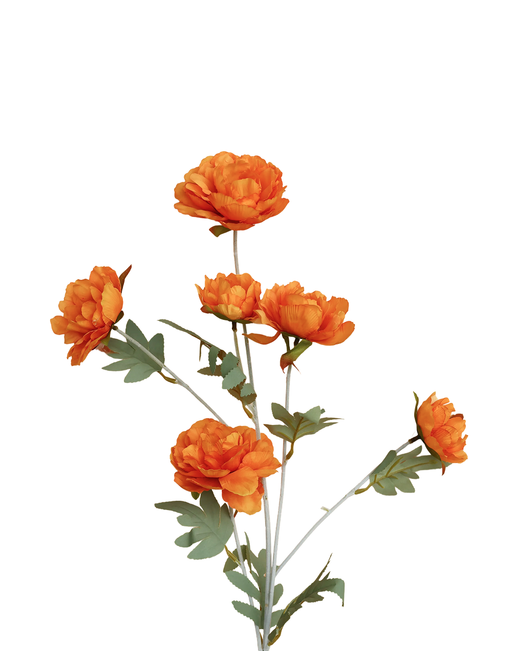 Buttercup Ranunculus Spray | Available in 3 Colors