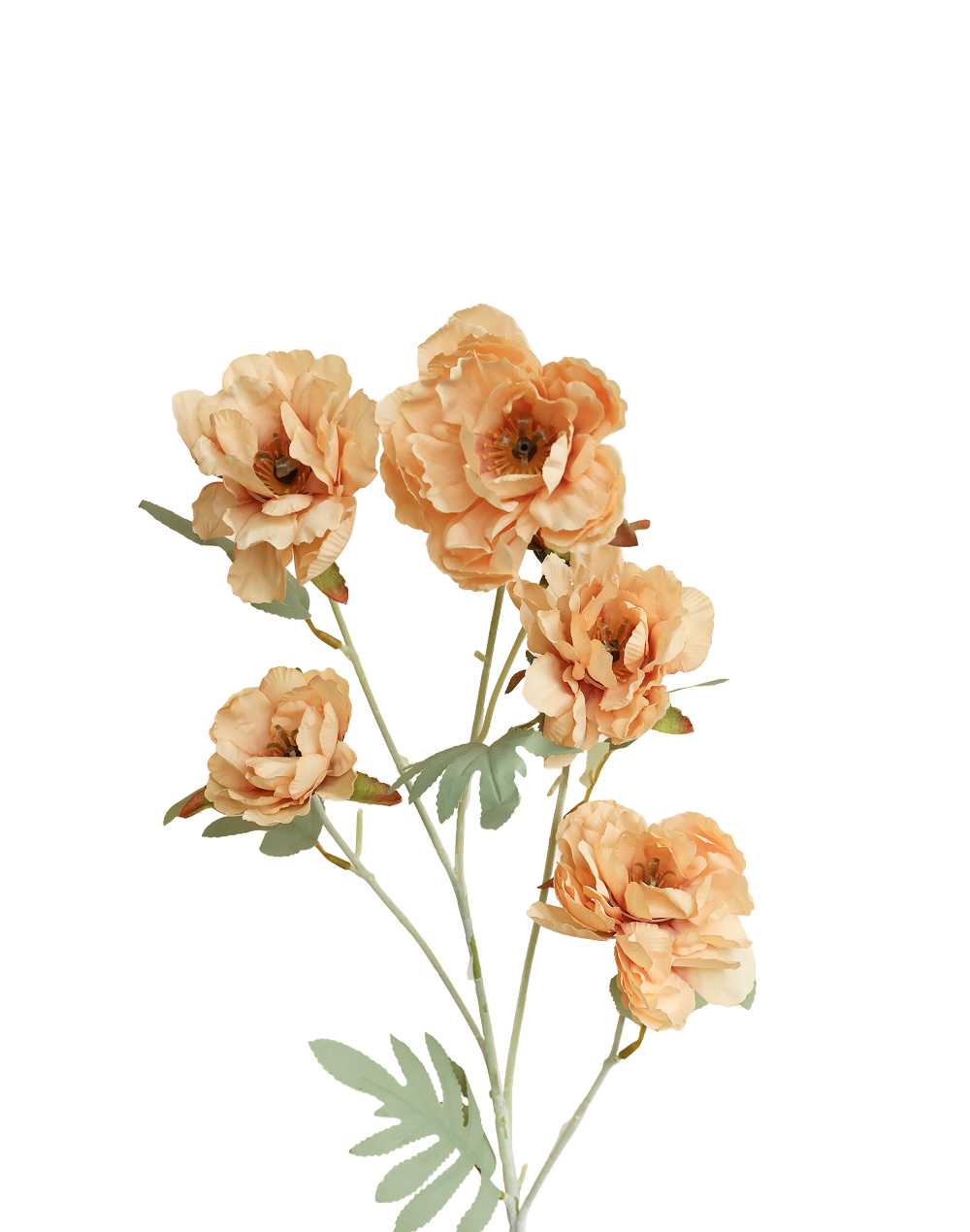 Buttercup Ranunculus Spray | Available in 3 Colors