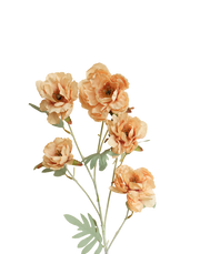 Buttercup Ranunculus Spray | Available in 3 Colors