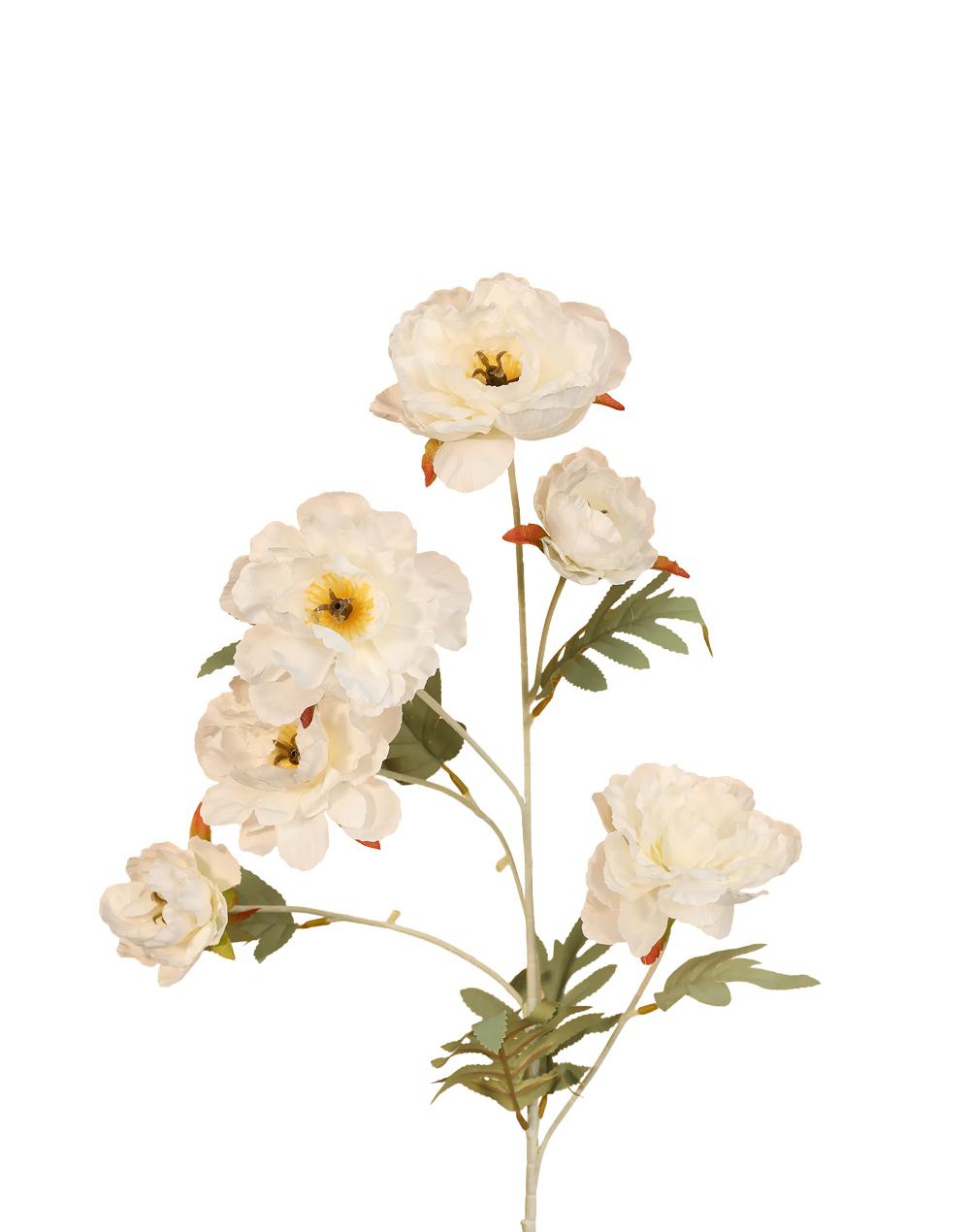Buttercup Ranunculus Spray | Available in 3 Colors