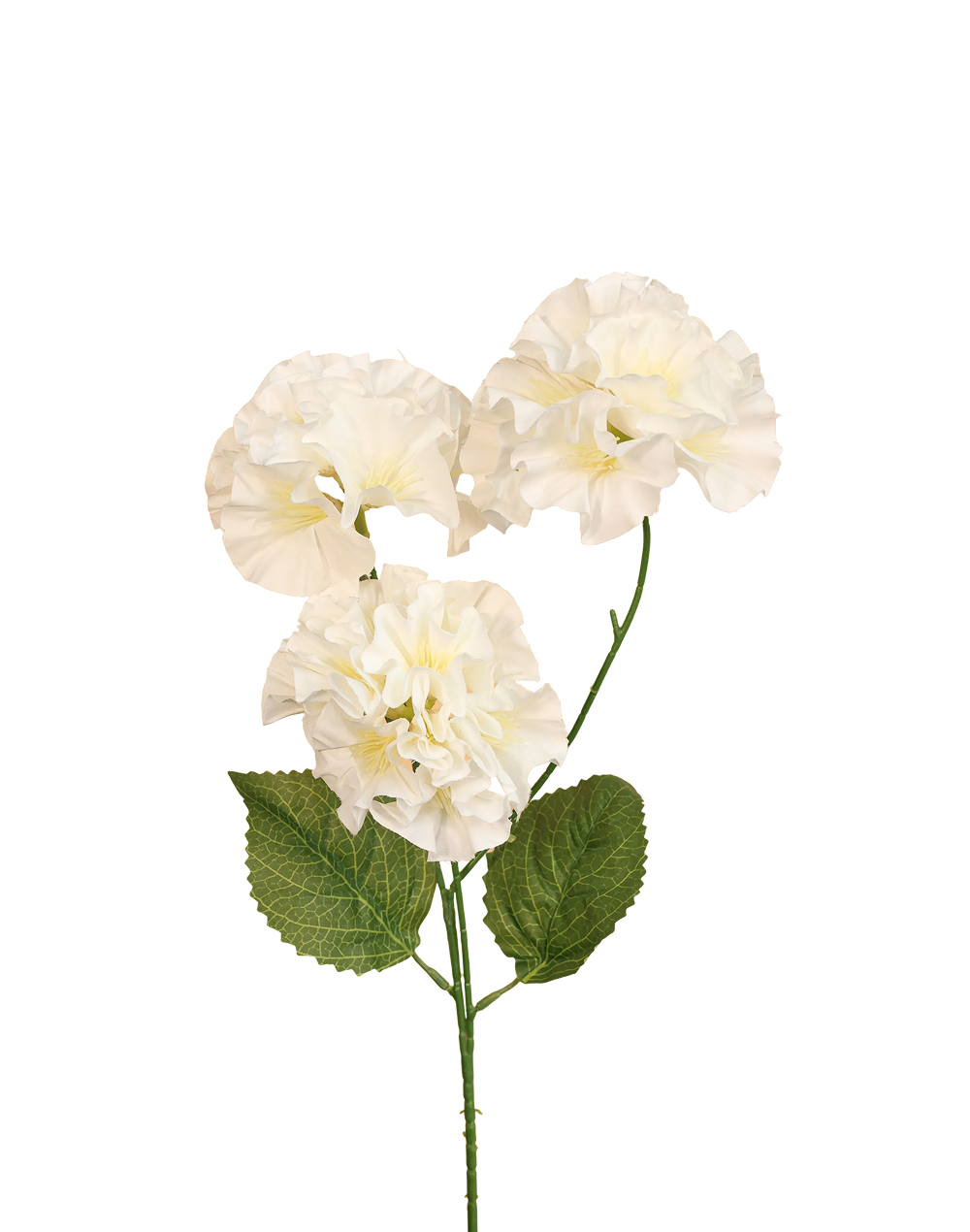 Mini Geranium | Available in 3 Colors