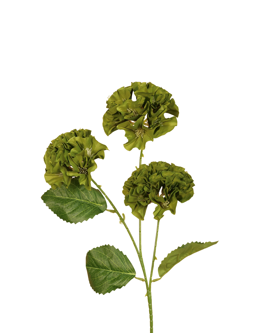 Mini Geranium | Available in 3 Colors