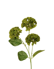 Mini Geranium | Available in 3 Colors
