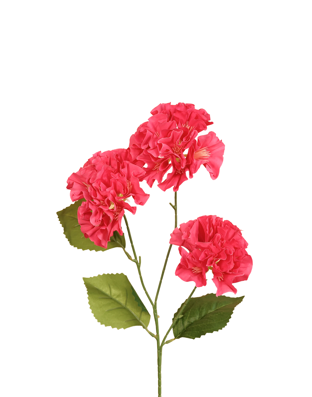 Mini Geranium | Available in 3 Colors