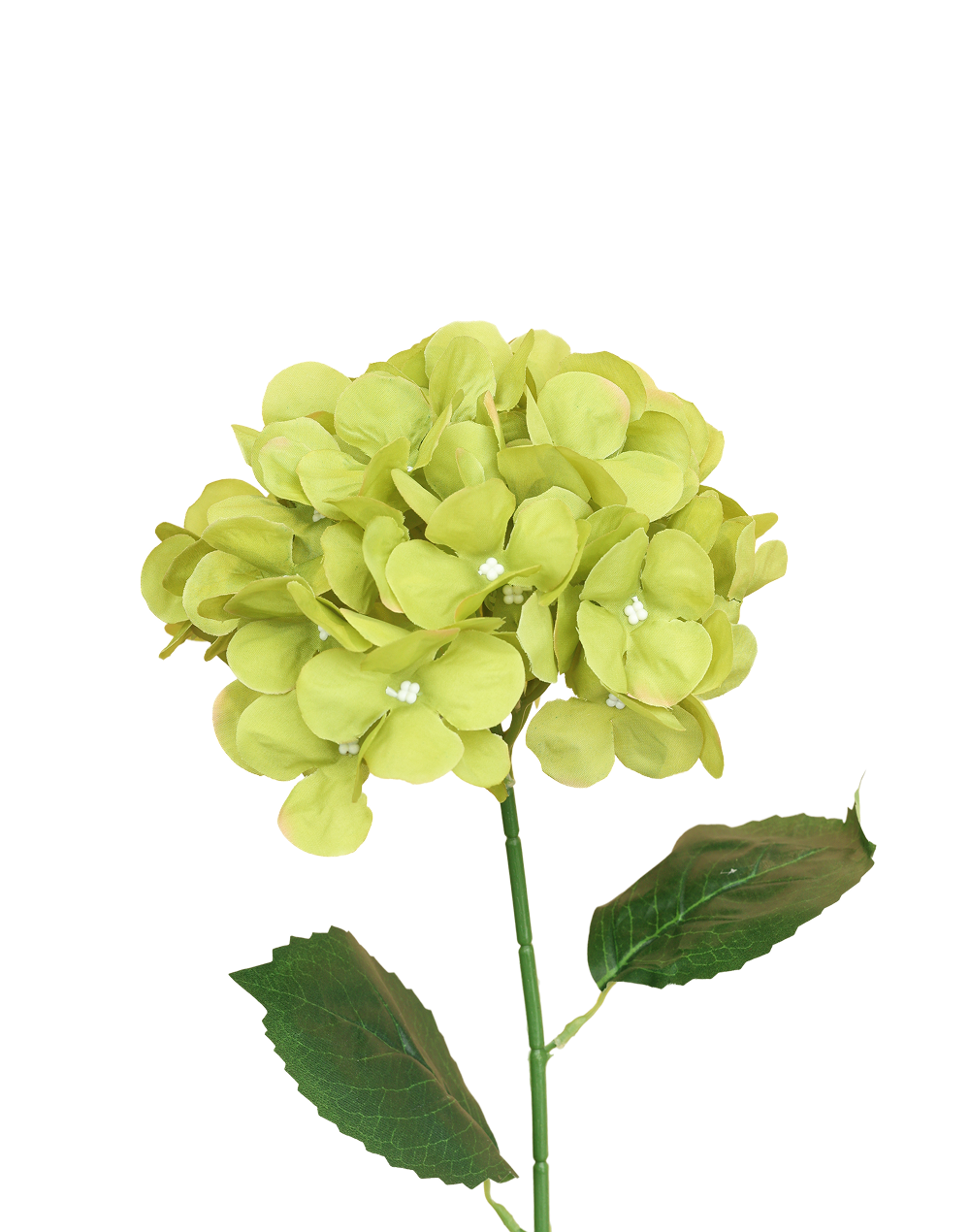 Silk Hydrangea Stem | Available in 2 Colors