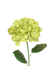 Silk Hydrangea Stem | Available in 2 Colors