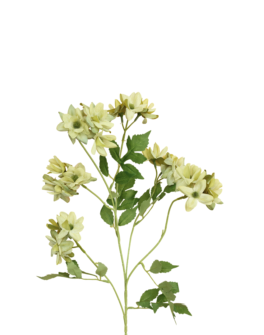 Daisy Mum Spray | Available in 2 Colors