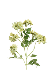 Daisy Mum Spray | Available in 2 Colors