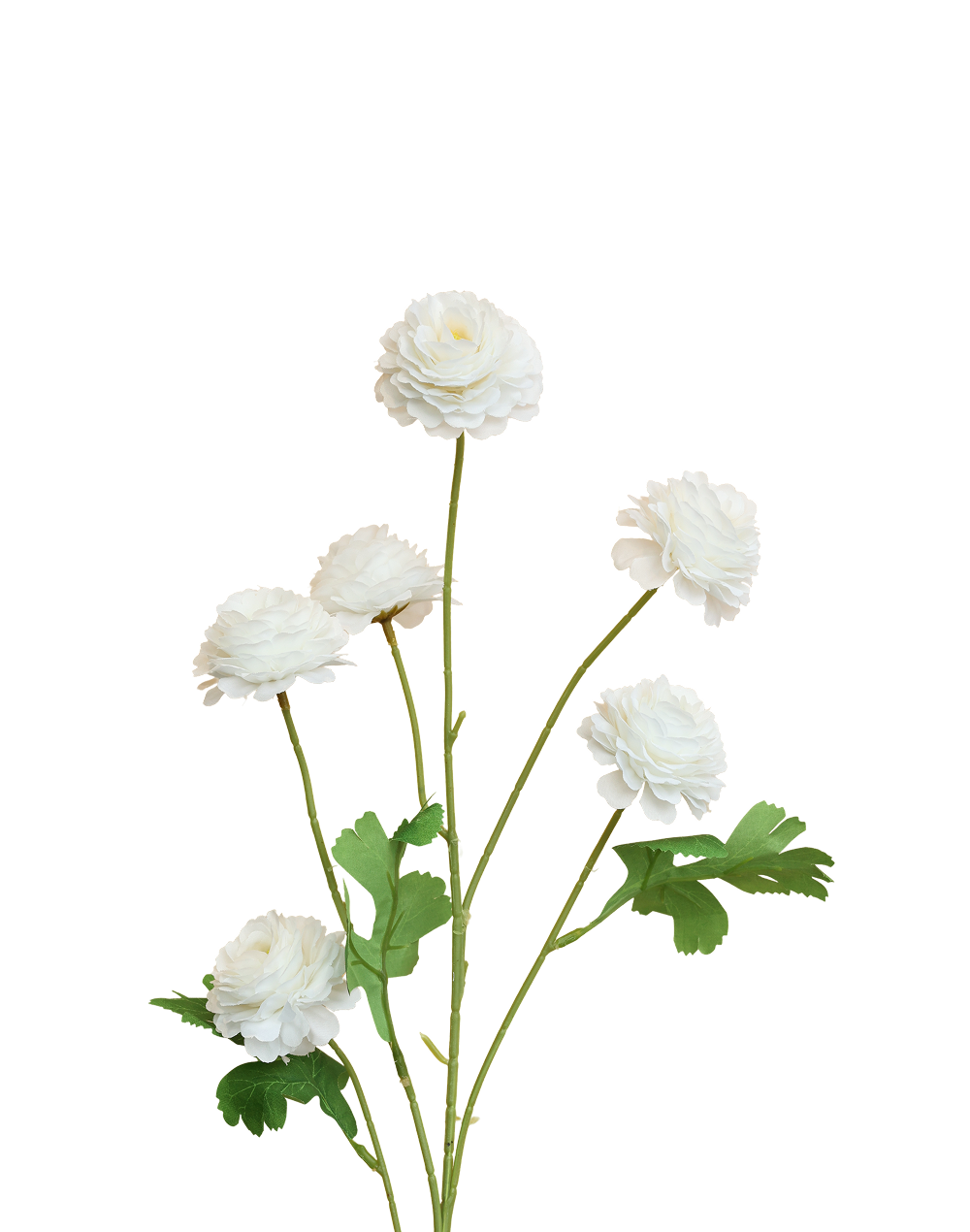 Mini Ranunculus Spray | Available in 3 Colors